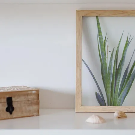 Apartamento Cristobal *